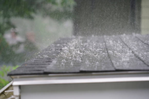 Emergency Roof Repair in Belleville, MI