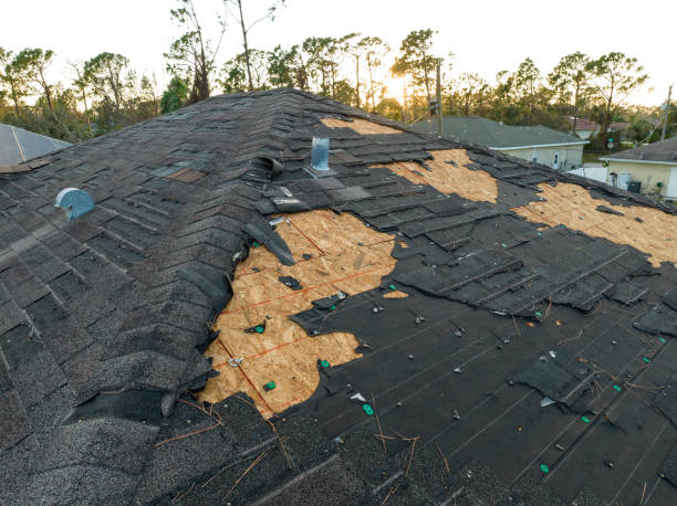 Best Emergency Roof Repair  in Belleville, MI