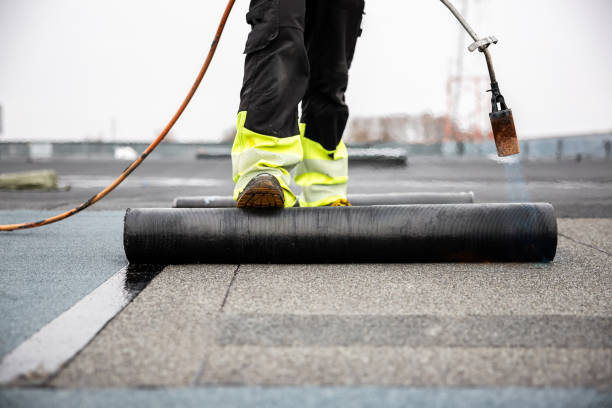 Best Asphalt Shingles Roofing  in Belleville, MI