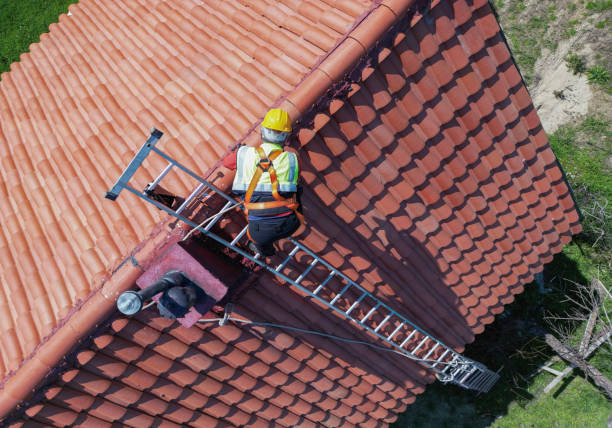 Best Commercial Roofing Services  in Belleville, MI