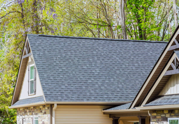 Best Storm Damage Roof Repair  in Belleville, MI